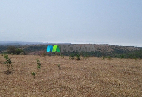Imagem 4 de 15 de Fazenda - Zona Rural - Ref: 4350 - V-mta4350