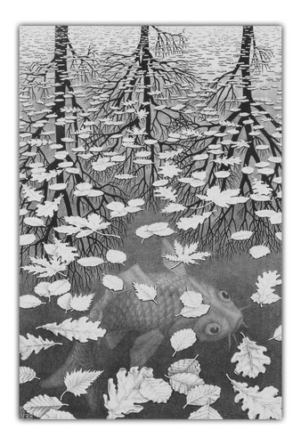 Poster Grande M C Escher 50x75cm Three Worlds - Decorar Sala