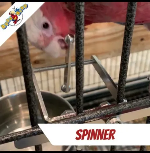 Busy Bird Snniper Bird Toy