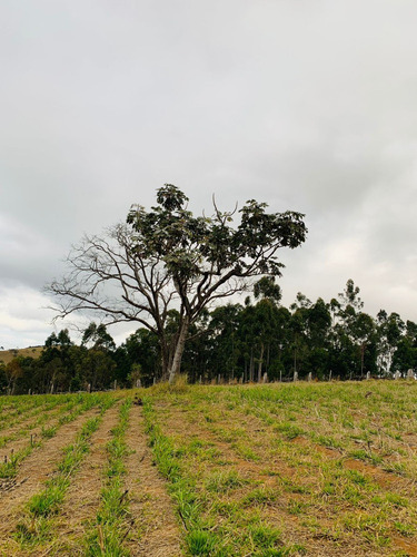 Imagem 4 de 14 de 16- Adquira Seu Lote Para Chácara Em Igaratá