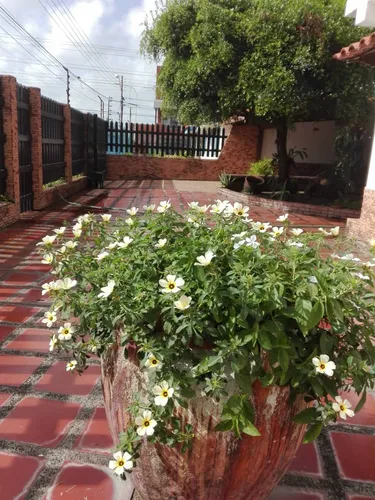 Venta Casa Juanico
