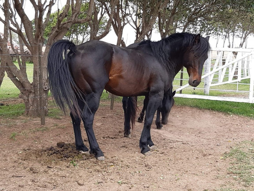 Imagen 11 de 30 de Campo En Córdoba (general Deheza)