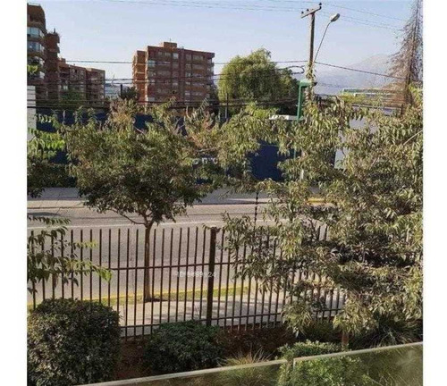 Imagen 10 de 11 de Robles / La Dehesa