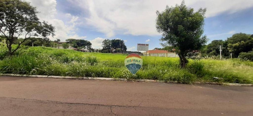 Imagem 1 de 8 de Terreno Comercial, 2000 M², Venda, Holambra, Sp - Te0651
