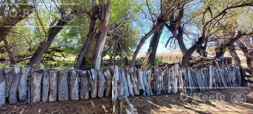 Imagen 29 de 30 de Campo En Venta De 14.000 Has En Neuquen Patagonia Argentina - Estancia Ganadera