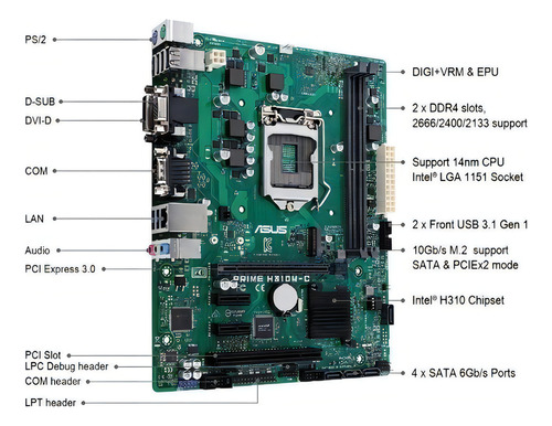 Placa Mãe Asus H310M-C LGA 1151 DDR4 8a e 9a Gen Intel M.2 Verde