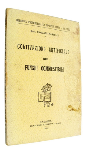 Coltivazione Artificiale Funghi Commestibili Cultivo Hongos 