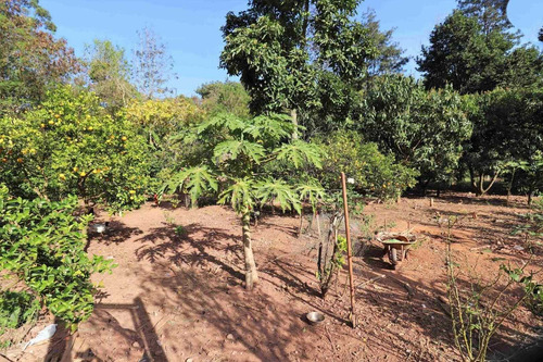 Imagem 12 de 30 de Casa Térrea Com 5 Dormitórios Em Condomínio Na Granja Viana Km 23, 3.348 M² - Ca11051