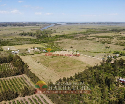 Imagen 4 de 17 de Venta De Chacra Melilla 3 Has Hermoso Paisaje.financia Propietario