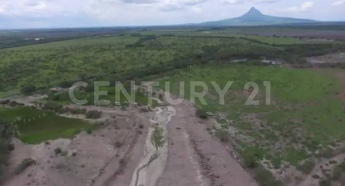 Venta Terreno / Rancho En González Tamaulipas