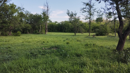 Anisacate - A La Venta - Exclusivo Lote De 2.000 M2 - Con Escritura - Sierras De Córdoba