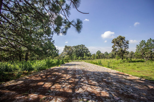 Terreno En Venta En Real De Encinos, Tapalpa, Jalisco.