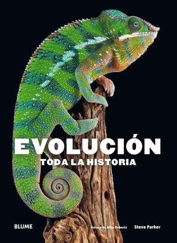 Evolucion