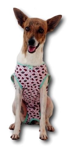 Roupa Protetora Pós Cirúrgica Cães Fêmea Estilo Pet N° 04