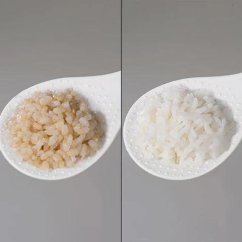 Zojirushi LHC05 panela de arroz de 127V