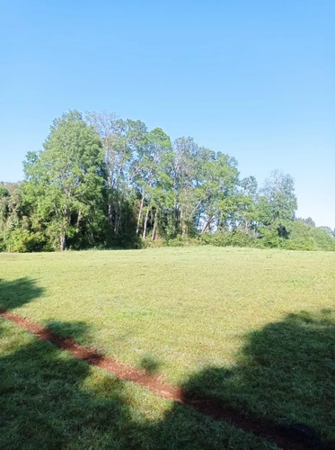 Venta Hermosa Parcela En Sector Rofuco Alto, La Unión