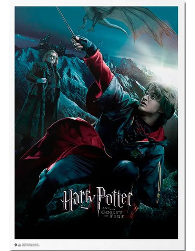 Poster Exclusivo Harry Potter-harry Potter Y El Cáliz De F