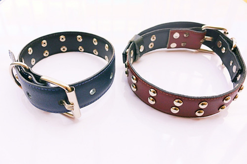 Collares Para Perros En Cuero 100% Genuino