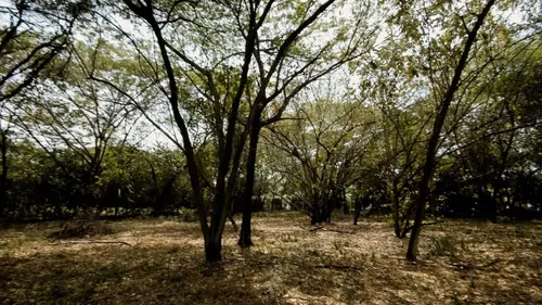 Lote En Venta En Peñalisa. Cod V16946
