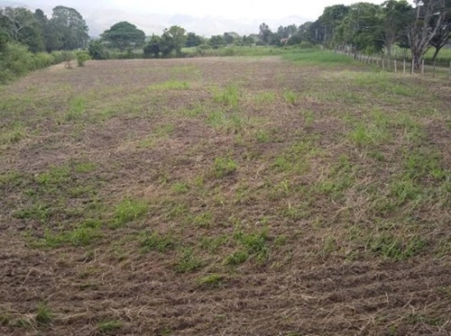 Venta De Finca 21 H:a En Sabaneta , Montalban , Carabobo Liortg 2