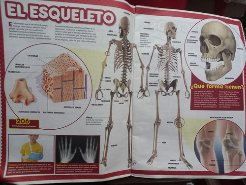 Gran Libro Del Cuerpo Humano, Billiken+ 2 Laminas
