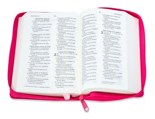 Santa Biblia Nvi Letra Grande Fucsia C/ Cierre 