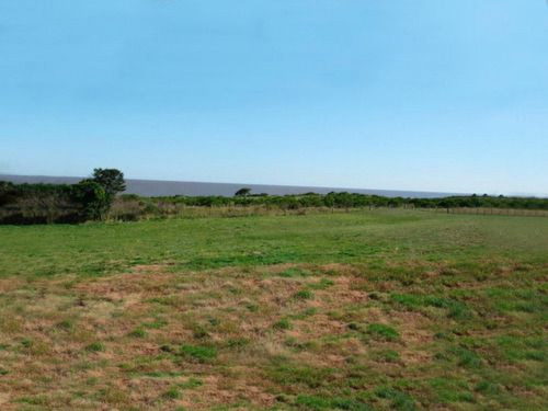 Campo Con Costa Al Río De La Plata Ref. 260