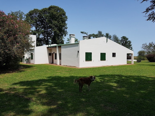 Imagen 3 de 9 de Campo En Venta. Gral Belgrano. Bs As.