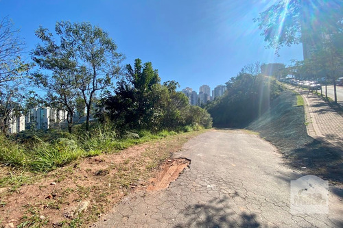 Imagem 5 de 12 de Casa Em Condomínio À Venda No Jardim Mangabeiras - Código 328164 - 328164