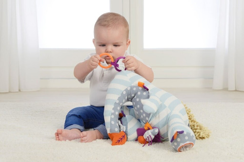 Oso Hormiguero De Tela Sensorial Para Bebé De Dolce Toys