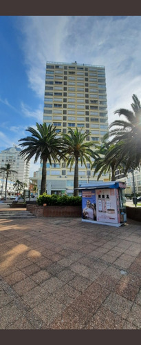 Apto Alquiler Punta Del Este 2 Dormitorios Torre Dcategoria 