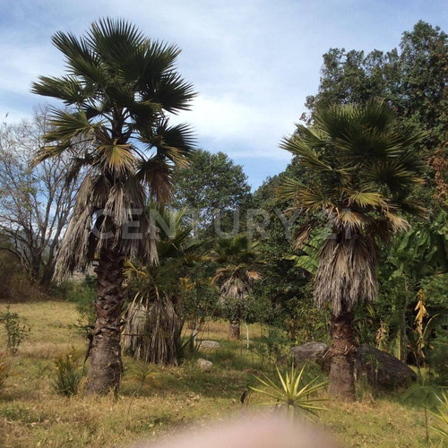 Terreno En Venta, Polvillos.