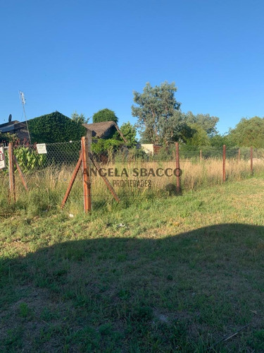 Imagen 2 de 6 de Terreno En Torres