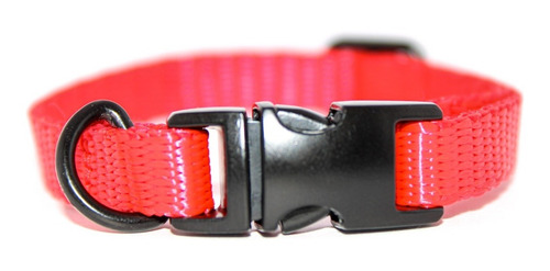 Pack 3 | Collar Para Perro Con Herraje Metálico | Chico