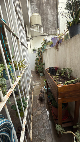 Alquiler Dueño Directo Ph Planta Baja Sin Expensas En Olivos
