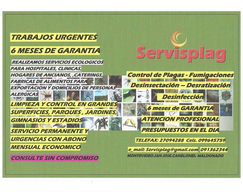 Fumigaciones Mejores Control De Plagas Habilitaciones Imm