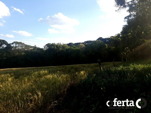 Imagem 6 de 9 de Chacara - Tiete - Ref: 741 - V-741