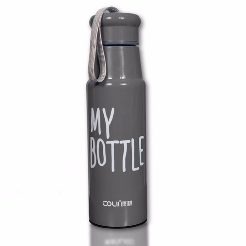Botella Termo Acero My Bottle Capacidad 520ml Aislado Gris
