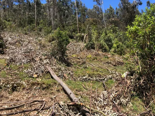 Lote En Tabio Cundinamarca
