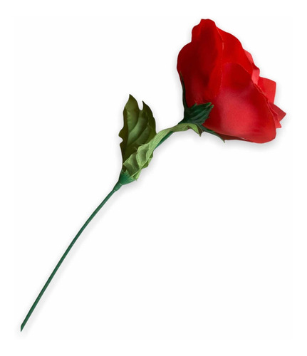 Flor De Teta Y Pene Despedida Soltera Bachelor Party