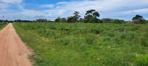 Hermosa Chacra De Casi 6 Hectareas Muy Proxima A Punta Del Este Y Punta Ballena