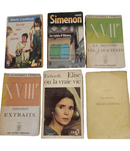 Lote De 6 Libros En Frances.