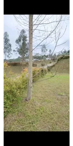 Rhbr-14476 (lote) (guarne, Vda. Montañez)