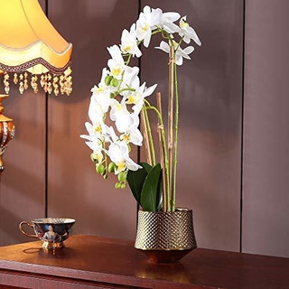4643wh Phalaenopsis Con Jarrón De Vidrio Arreglo Decor... 4643wh Phalaenopsis Con Jarrón De Vidrio Arreglo Decor...