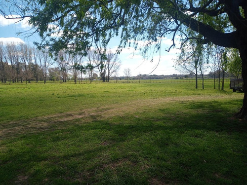 Imagen 27 de 30 de Campo En Venta Zona Polo, Pilar, Con 2 Canchas De Polo Y Varias Mejoras