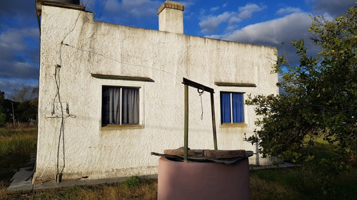 Ciudadanas Propiedades Vende Campo Con Vivienda En Sauce