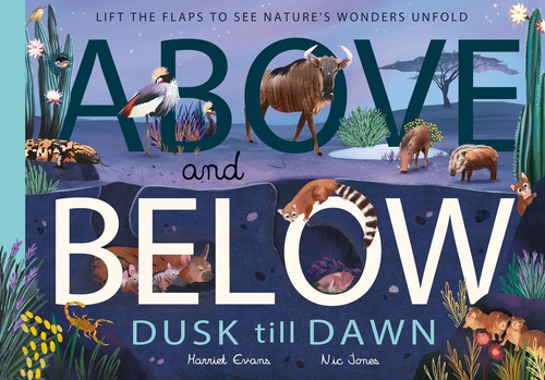 Avobe And Below - Dusk Till Dawn