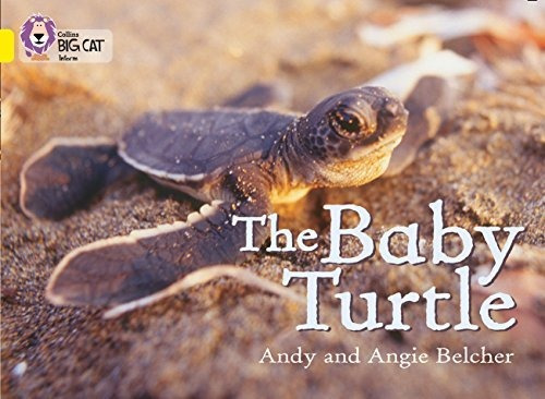 Baby Turtle The - Big Cat 3 Yellow - Belcher Andy