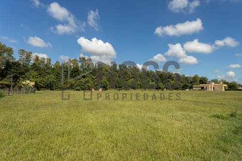 Lote 1000 M2 El Tropezón