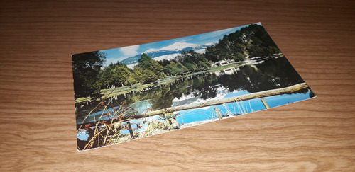 Antigua Postal Bariloche Camino A Llao Llao - Sin Circular (Usado)